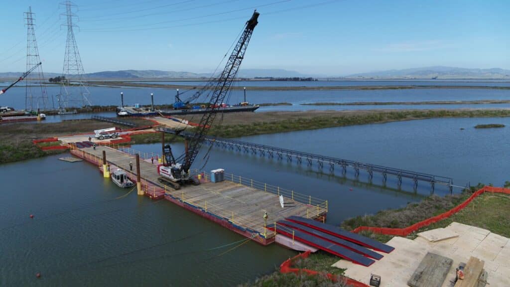 Cranes Crossing Shallow Slough