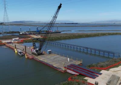 Cranes Crossing Shallow Slough